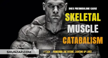 Prednisolone: Skeletal Muscle Catabolism Side Effect?
