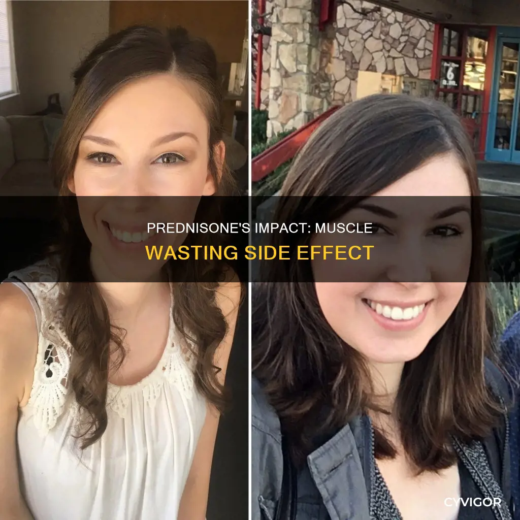 does prednisone cause muscle wasting