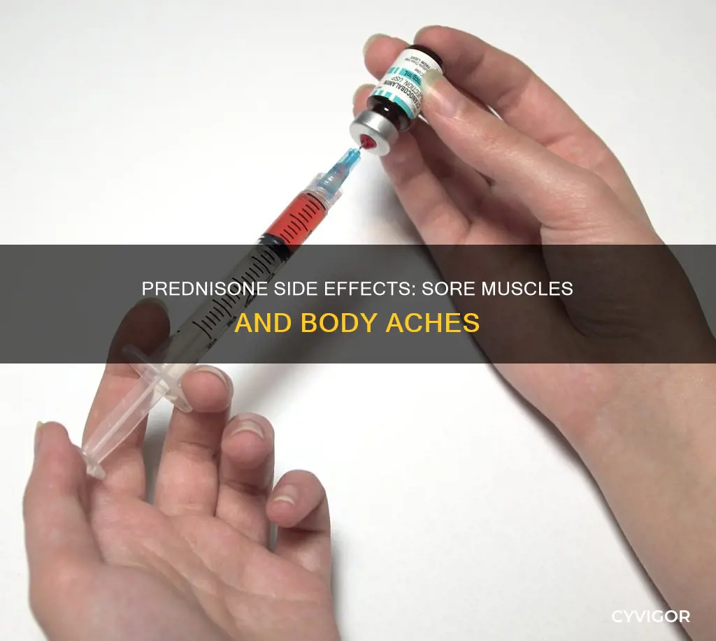 does prednisone cause sore muscles