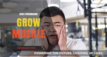 Prednisone and Muscle Growth: Fact or Fiction? What You Need to Know
