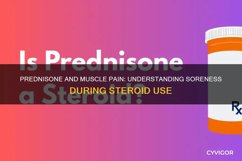 does prednisone make muscles sore