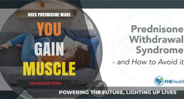 Prednisone and Muscle Gain: Fact or Fiction? What to Know