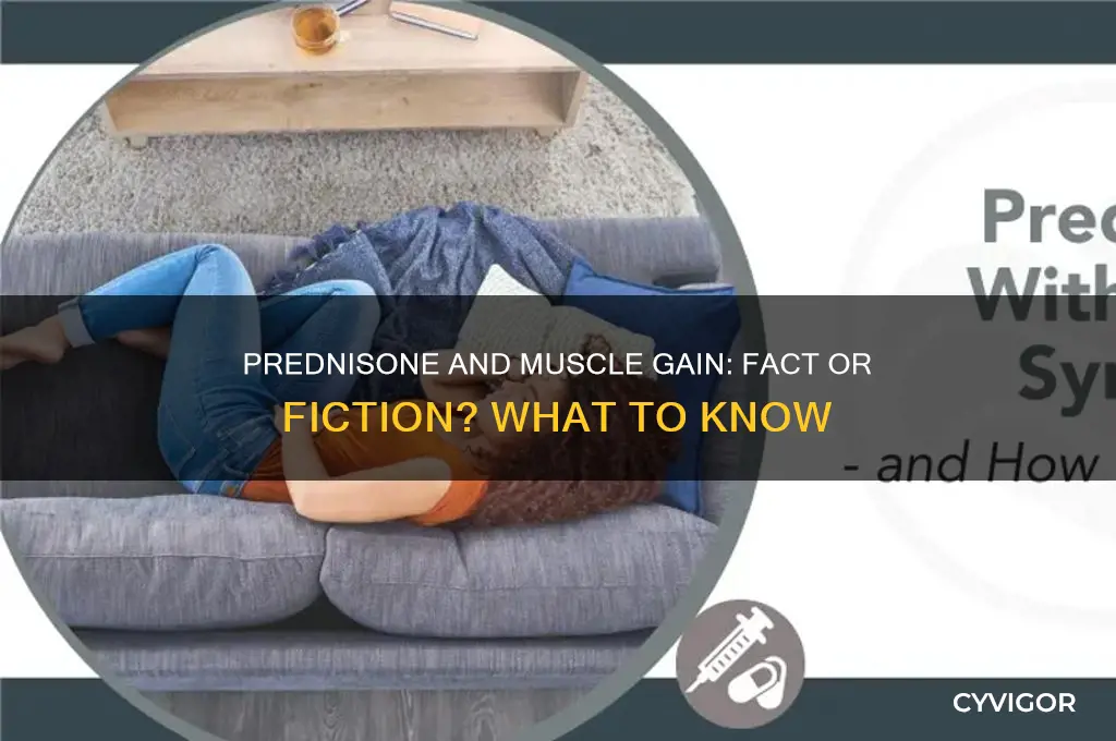 does prednisone make you gain muscle