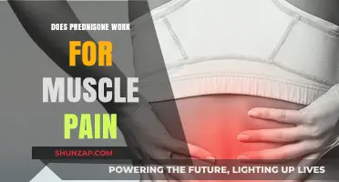 Prednisone for Muscle Pain: Effectiveness, Uses, and Side Effects Explained
