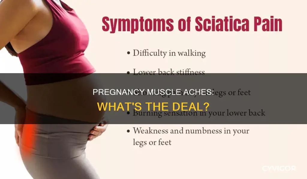 does pregnancy cause muscle aches