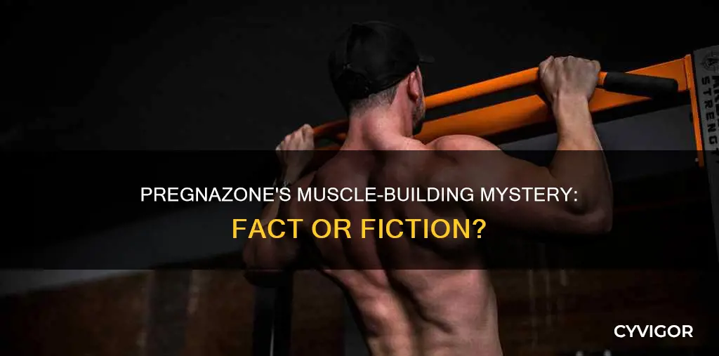 does pregnazone increase muscles