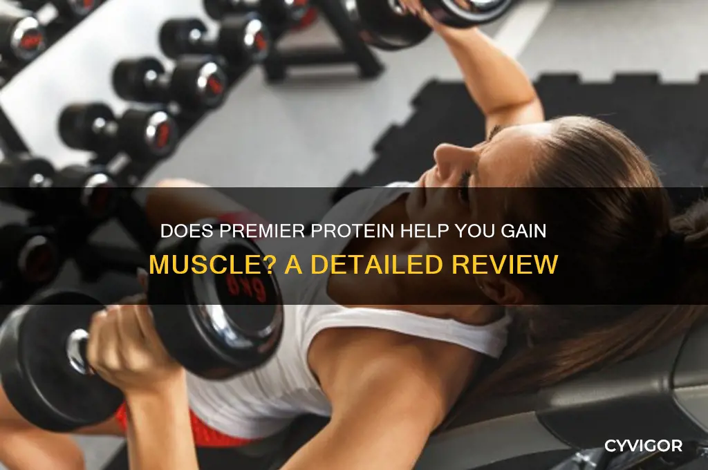 does premier protein help you gain muscle