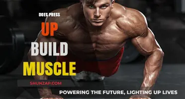 Unlocking the Power of Press-Ups: A Guide to Building Muscle Effectively