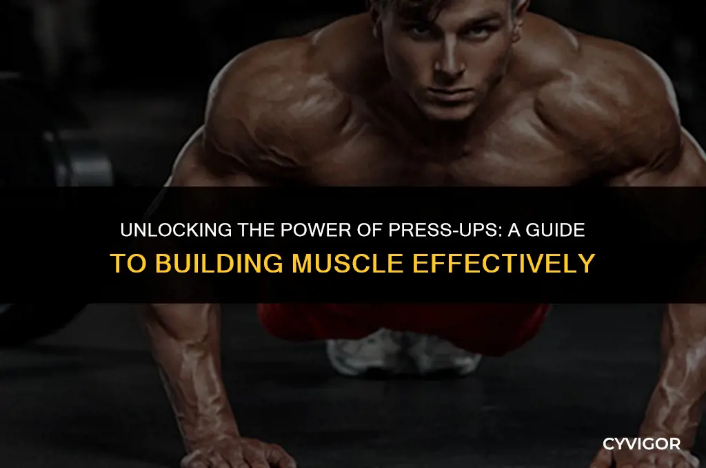 does press up build muscle