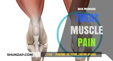Does Previcoxx Relieve Muscle Pain? Understanding Its Uses and Limits