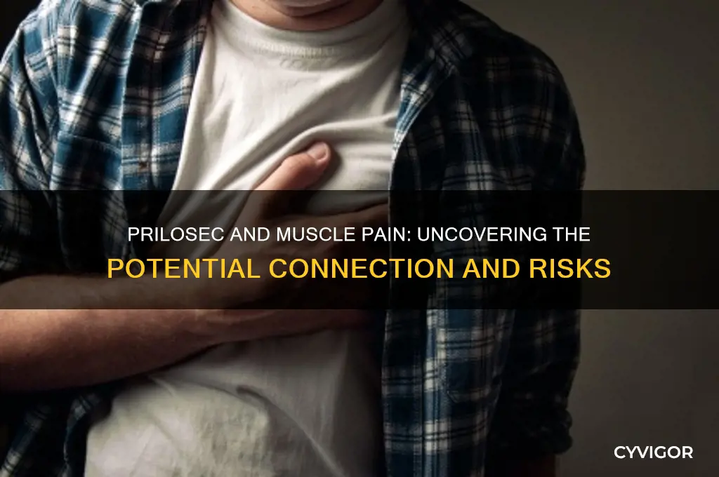 does prilosec hurt muscle pain