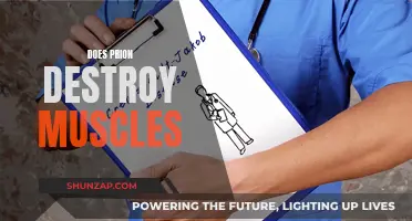 Prion Diseases: Muscle Destruction and Degeneration Explained