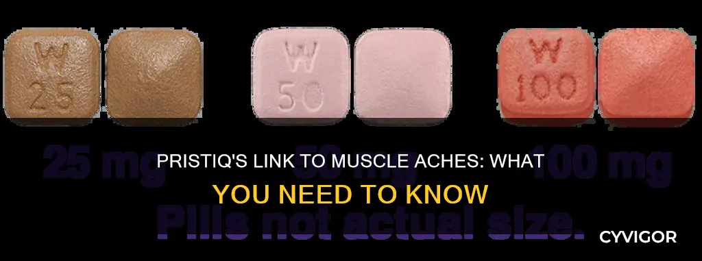 does pristiq cause muscle aches