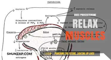 Progesterone's Muscle Relaxation Effects: Unraveling Hormonal Influence on Muscular Tension