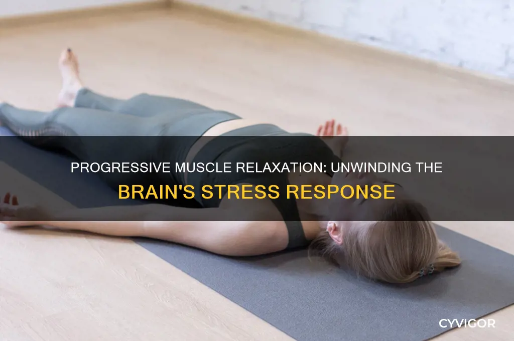 does progressive muscle relaxation relax the brain