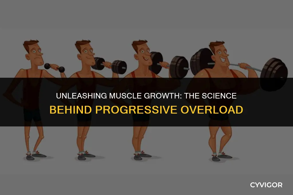does progressive overload build muscle