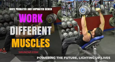 Pronated vs. Supinated Bench Press: Which Muscles Do They Target?
