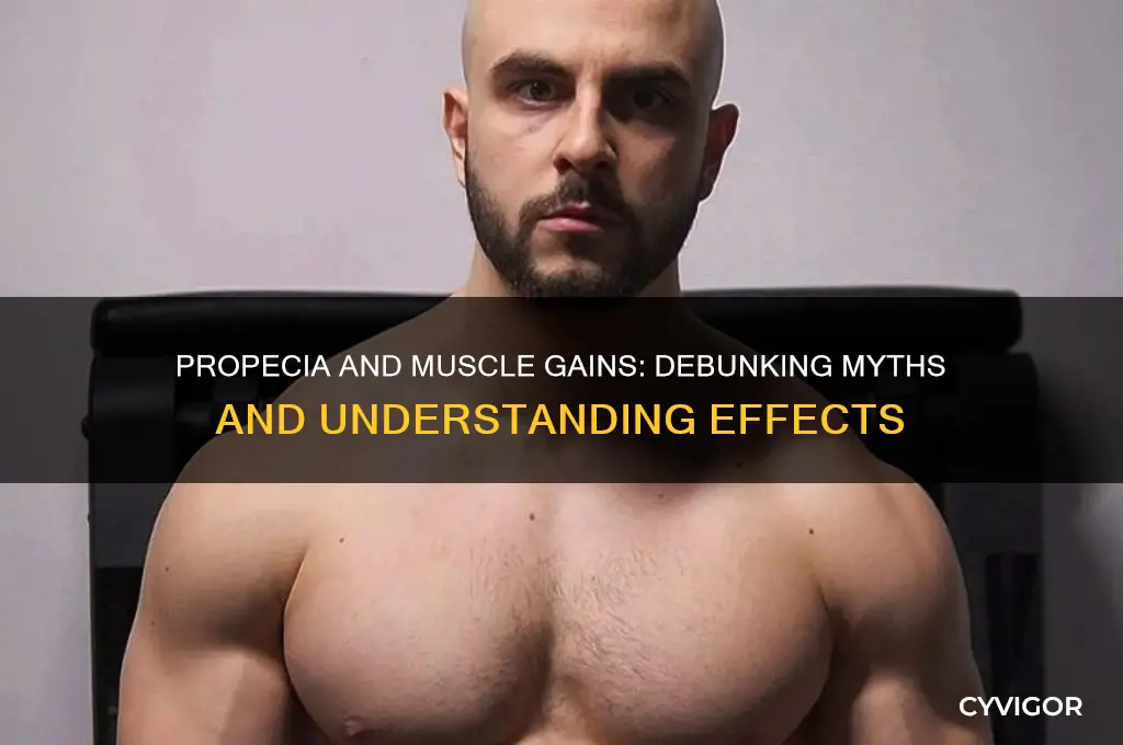 does propecia afffect muscle gains