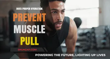 Hydration and Muscle Health: Can Proper Fluid Intake Prevent Pulls?