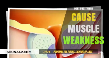 Prostatitis and Muscle Weakness: Is There a Link?
