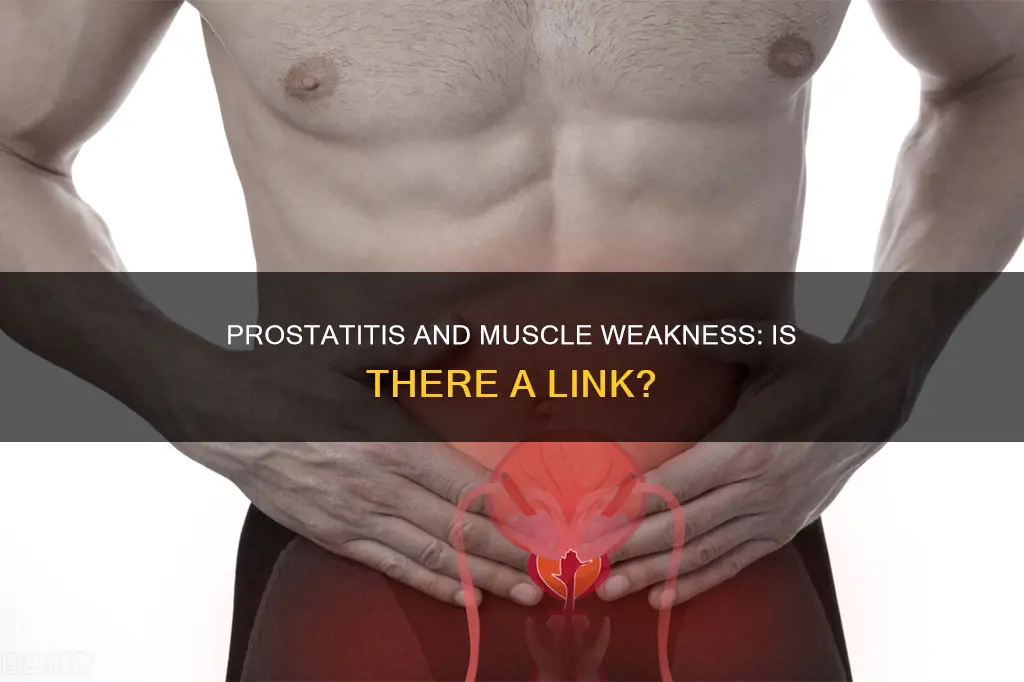 does prostatitis cause muscle weakness