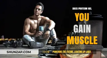 Protein Power: Unlocking Muscle Growth and Strength Gains