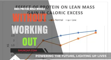 Can Protein Alone Build Muscle? The Truth Behind the Hype