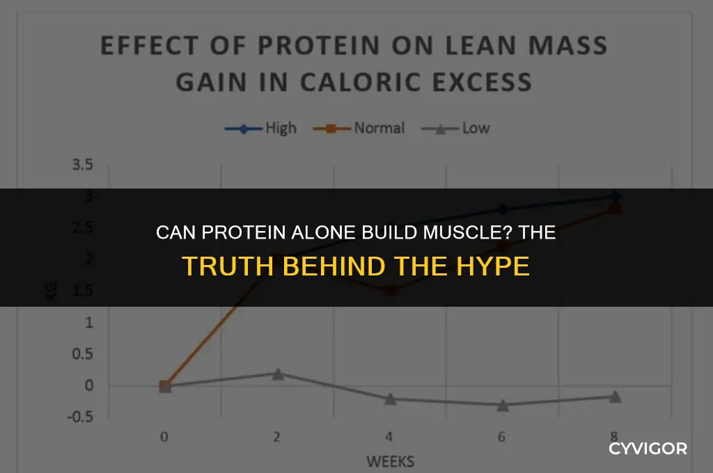 does protein build muscle without working out