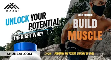 Unlocking Muscle Growth: The Power of Protein Explained