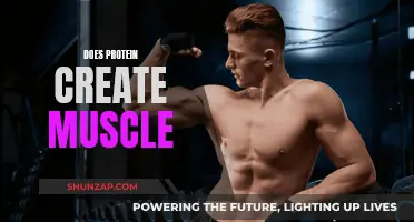 Protein's Power: Creating Muscle or a Myth?