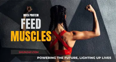 Protein's Power: Feeding and Building Muscles