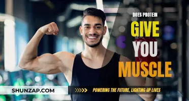 Protein and Muscle Growth: What's the Real Deal?