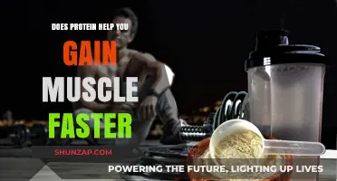 Protein's Role in Accelerating Muscle Growth: Fact or Fiction?
