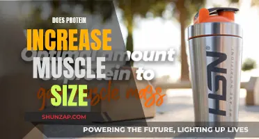 Protein's Impact on Muscle Growth: Does It Increase Size?
