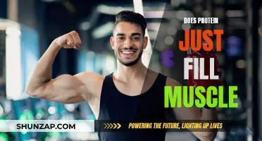 Protein's Muscle-Building Power: Beyond Bulking Up