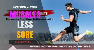 Protein's Role in Muscle Recovery: Does It Reduce Post-Workout Soreness?