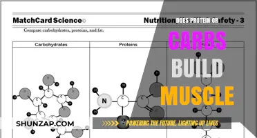 Fueling Your Gains: The Great Protein vs. Carbs Debate for Muscle Building