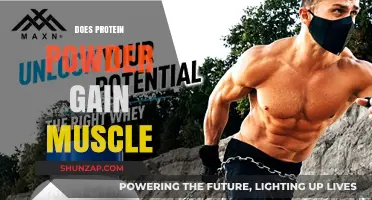 Protein Powder and Muscle Gain: Fact or Fiction?