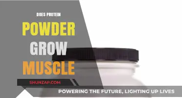 Can Protein Powder Build Muscle? Facts and Myths Explained