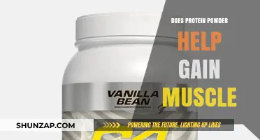 Does Protein Powder Help Gain Muscle? Facts and Benefits Explained