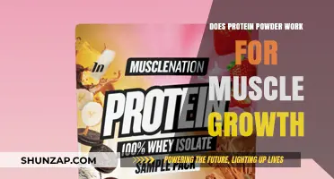 Does Protein Powder Really Boost Muscle Growth? Facts and Myths