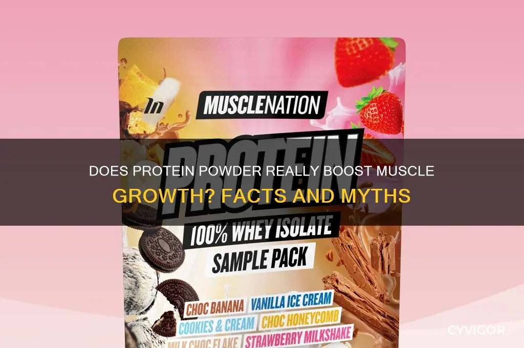 does protein powder work for muscle growth