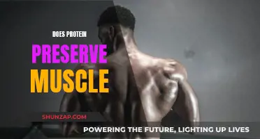 Protein's Power: Muscle Preservation and Growth