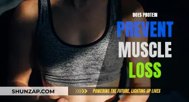 Protein's Power: Preventing Muscle Loss
