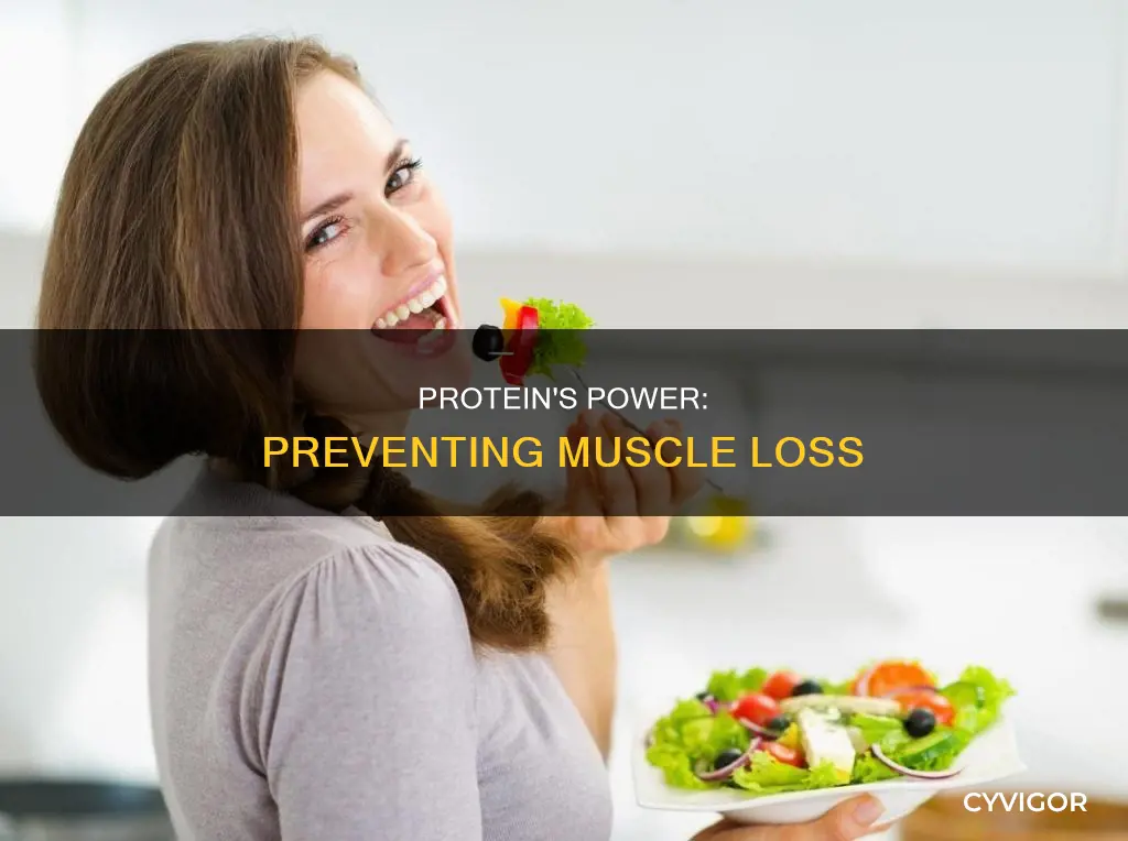 does protein prevent muscle loss