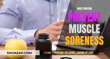 Protein's Role in Muscle Soreness: What You Need to Know