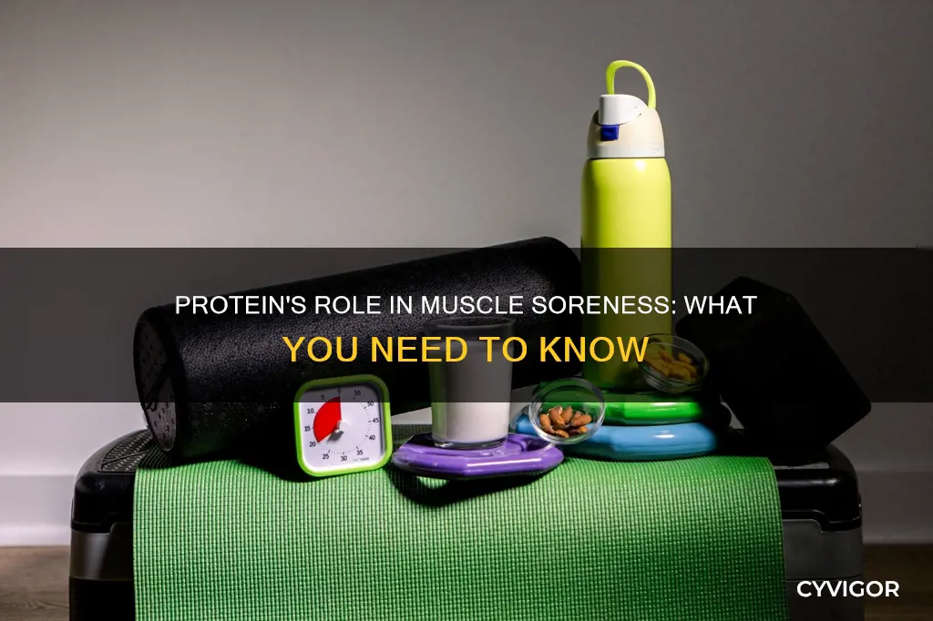 does protein prevent muscle soreness