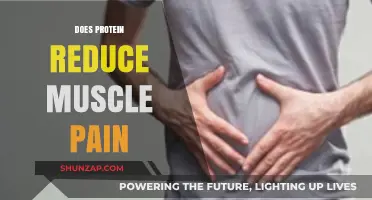 Protein's Role in Alleviating Muscle Pain: Fact or Fiction?