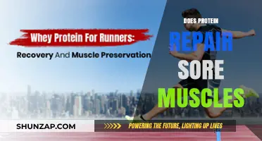 Protein's Role in Muscle Recovery: Can It Repair Soreness Effectively?