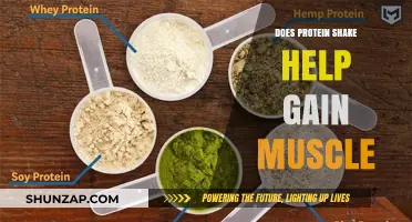 Protein Shakes and Muscle Gain: Fact or Fiction?